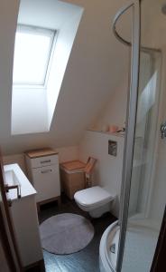 Kúpeľňa v ubytovaní Apartmán AURIS + 24 fotografií