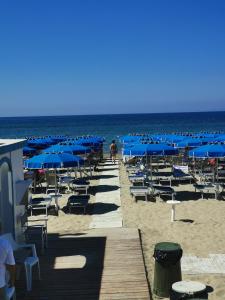 een strand met stoelen en blauwe parasols en de oceaan bij la baracca dei pescatori in Follonica +28 foto's