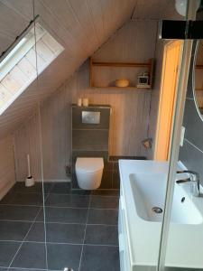 ein Bad mit einem WC und einem Waschbecken in der Unterkunft Mittelalterliches Fachwerkhaus am Diebesturm - klimatisiert- in Bad Sooden-Allendorf
