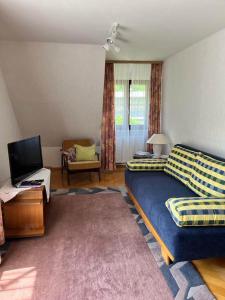 a living room with a couch and a tv at Felsenblick Himmelsfels in Geislingen an der Steige