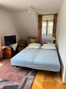 a bedroom with a large bed and a television at Felsenblick Himmelsfels in Geislingen an der Steige