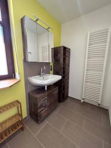 La salle de bains est pourvue d'un lavabo et d'un miroir. dans l'établissement Nibelungen Bordinghouse 4 Zimmer Apartment, à Lindenfels
