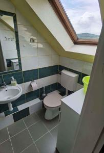 バラトンギュルクにあるApartment Balatongyorok 1のバスルーム(トイレ、洗面台、鏡付)