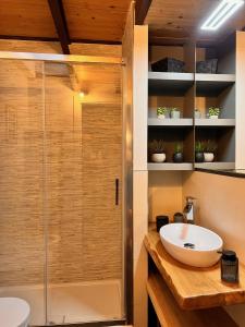 a bathroom with a sink and a shower at La Casetta di Elena in Pesaro