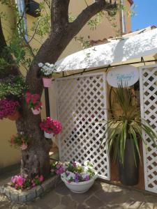 Zahrada ubytování B&B Tiffany