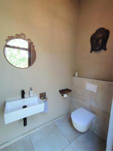 a bathroom with a sink and a toilet and a mirror at Villa VinoSelo mit Sauna & Whirlpool in Vižinada
