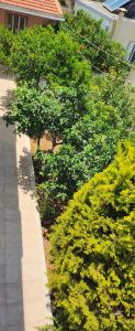 Zdjęcie z galerii obiektu Villa Elli w mieście Hersonissos