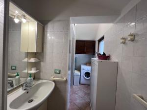 ein Badezimmer mit einem Waschbecken und einer Waschmaschine in der Unterkunft La Babbaiola di Torre delle Stelle in Torre delle Stelle