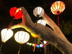 a group of lanterns hanging from a tree branch at La Bohème in Gili Air
