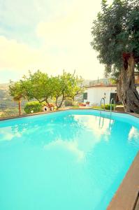 uma grande piscina azul com uma árvore ao fundo em Villa Lobra em Massa Lubrense