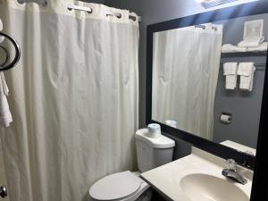 a bathroom with a shower curtain and a toilet and a sink at Rodeway Inn in Whitehall