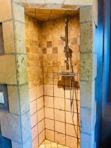 a shower in a bathroom with a tiled wall at Belle maison chaleureuse, lumineuse dans la nature in Eygliers