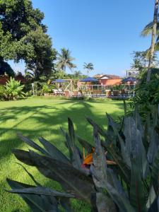 Blick auf einen Rasen mit Palmen und Häusern in der Unterkunft Pousada Canoa Caiçara Ilhabela in Ilhabela