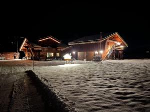 Alpenchalet Spiher-Studio und ein weiteres Schlafzimmer að vetri til