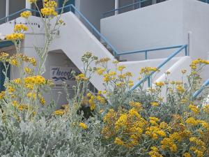 un jardín con flores amarillas frente a un edificio en Theodora Rooms, en Poros