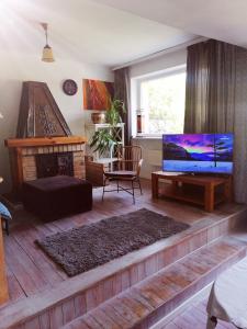 a living room with a fireplace and a tv at Przytulny dom z ogrodem i tarasem in Koszalin