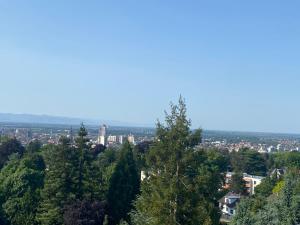 - Vistas a la ciudad desde una colina con árboles en L'Etoile, en Lutterbach
