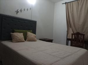 um quarto com uma cama com duas almofadas em La torre 22 em Santiago del Estero