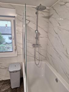 a bathroom with a shower and a bath tub at Guesthouse Flower in Ljubljana