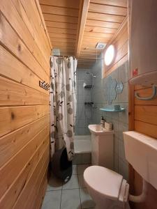 a bathroom with a toilet and a sink and a shower at Domki u Pieszczocha in Bukowiec