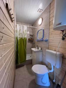 a bathroom with a toilet and a sink at Domki u Pieszczocha in Bukowiec