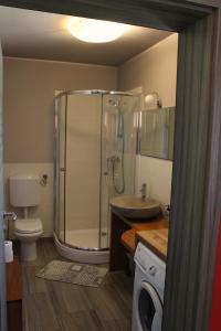 a bathroom with a shower and a sink and a toilet at Apartment Dandelion in Branik