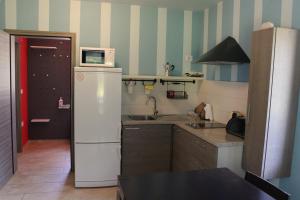 een kleine keuken met een koelkast en een magnetron bij Apartment Dandelion in Branik