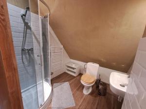 een badkamer met een douche, een toilet en een wastafel bij Lipie12a - pokoje in Lipie