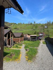 eine Schotterstraße, die zu einem Haus mit einem Hügel im Hintergrund führt in der Unterkunft Файна хата 3 in Synewyrska Poljana