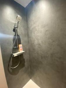 a bathroom with a shower with a blow dryer at Le Dolaizon, appartement avec ascenseur in Le Puy en Velay