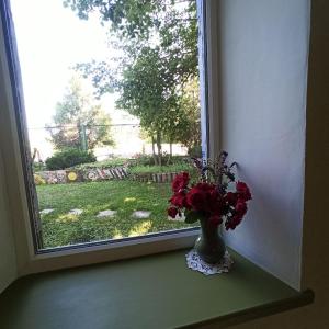 eine Vase mit roten Blumen auf einem Fensterbrett in der Unterkunft Маєток SOVA in Khutoro-Gubinikha
