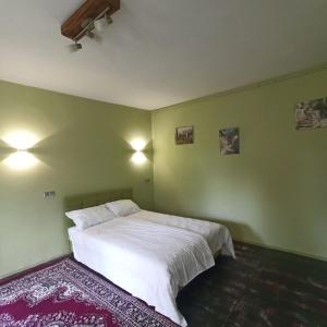 a bedroom with a large white bed with green walls at Маєток SOVA in Khutoro-Gubinikha