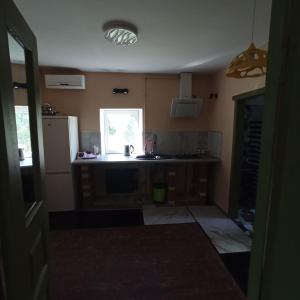 a small kitchen with a sink and a refrigerator at Маєток SOVA in Khutoro-Gubinikha