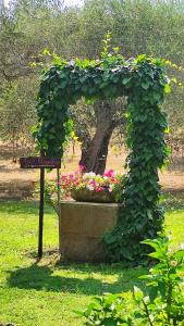 un arco ricoperto di edera con fiori in un parco di Agriturismo Buen Camino a Scarlino