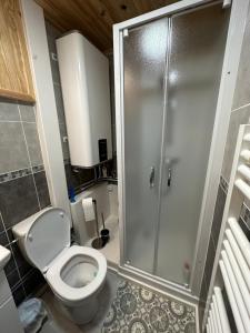 La salle de bains est pourvue d'une douche et de toilettes. dans l'établissement Beau studio la campagnarde, à Métabief