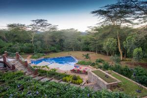 a pool with tables and umbrellas in a garden at The Retreat at Ngorongoro in Karatu