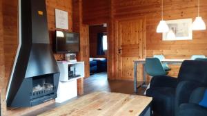 sala de estar con chimenea y TV en Lupine Lodge, en Gramsbergen