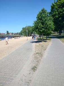 a brick sidewalk next to a beach with trees at Apartament centrum in Szczytno