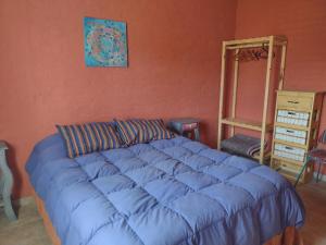 a bedroom with a large blue bed in a room at Casa Munay in Uspallata