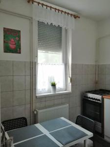 Kuchyň nebo kuchyňský kout v ubytování Aréna Apartman
