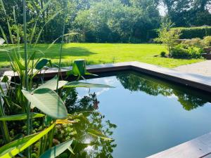 a swimming pool in the middle of a garden at Domaine Bourgogne en Grez "Terre d'Héritage" in Grez-Doiceau +13 photos