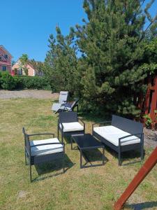 a group of chairs sitting in the grass at 117 in Łeba