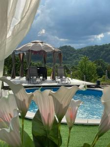 a pool with a gazebo and a table and chairs at Elit Tuzla in Tuzla