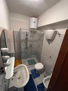 a bathroom with a shower and a toilet and a sink at Casa vacanze in Berchidda
