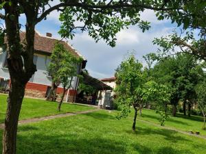 a house with a green yard with trees at Apartmani Petkovic 226 in Velika Drenova