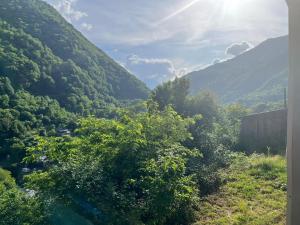 Paesaggio naturale nelle vicinanze della stanza in casa privata