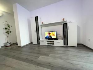 TV a/nebo společenská místnost v ubytování Julia Apartament + 8 fotografií