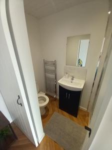 a bathroom with a sink and a toilet and a mirror at OAKWOOD GLAMPING Mourne Mountains in Moyad