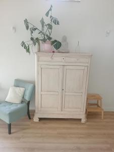 a white cabinet with a potted plant and a blue chair at Tiny House Aqualinde in Breda