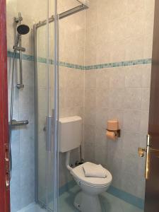 a bathroom with a toilet and a glass shower at Villa Una Apartments in Labin +62 photos